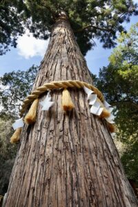 鞍馬寺の鎮守社【由岐神社】の御朱印・アクセス・境内の見どころについて | むかしたまり